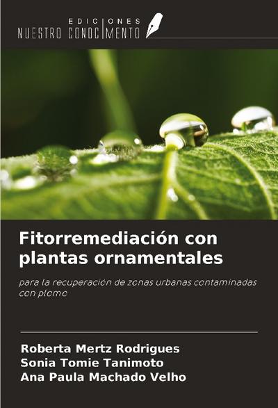Fitorremediación con plantas ornamentales