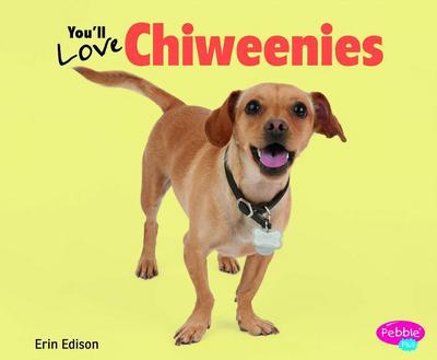You’ll Love Chiweenies