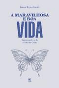 A maravilhosa e boa vida