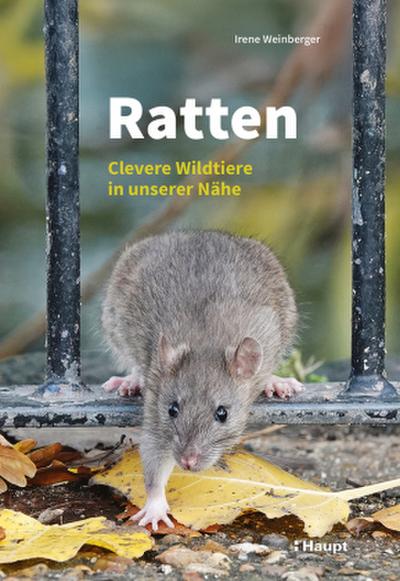 Ratten