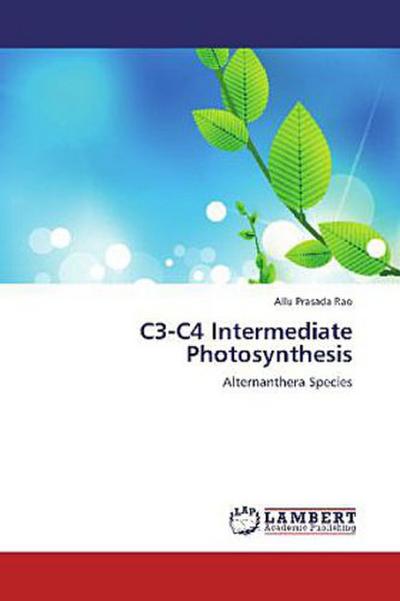C3-C4 Intermediate Photosynthesis