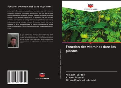 Fonction des vitamines dans les plantes