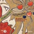 Sinfonien d-moll & B-Dur