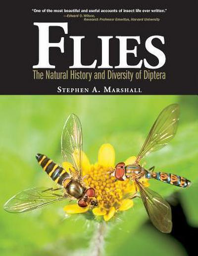 Flies