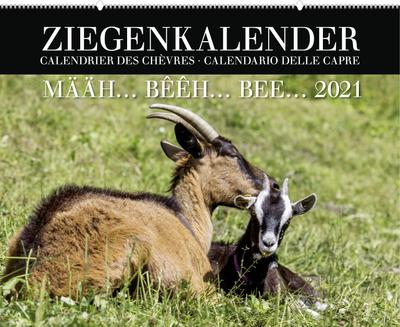 Ziegenkalender / Calendrier des chèvres / Calendario delle c