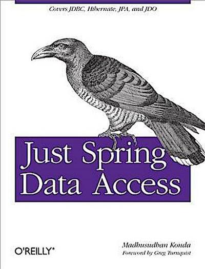 Just Spring Data Access