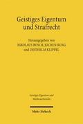Geistiges Eigentum und Strafrecht