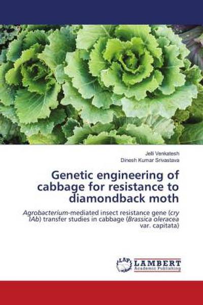 Genetic engineering of cabbage for resistance to diamondback moth