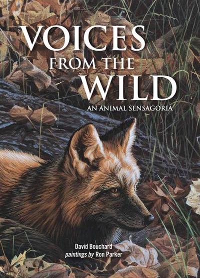 Voices from the Wild