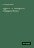 Seppel: or The burning of the synagogue at Munich