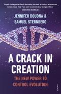 A Crack in Creation