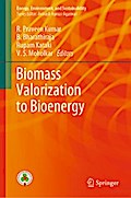 Biomass Valorization to Bioenergy
