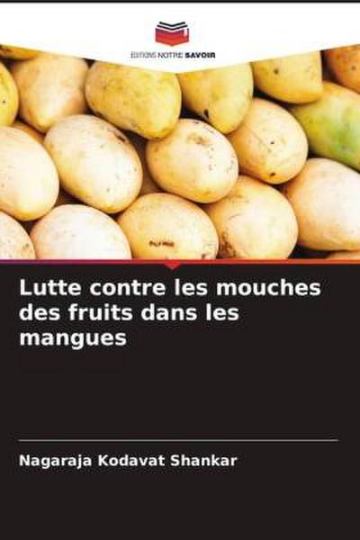 Lutte contre les mouches des fruits dans les mangues