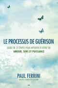 Le processus de guerison