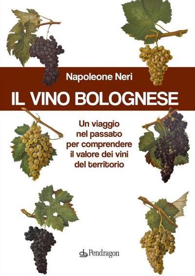 Il vino bolognese. Un viaggio nel passato per comprendere il valore dei vini del territorio