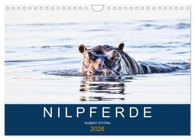 Nilpferde, Kolosse in Afrika (Wandkalender 2026 DIN A4 quer), CALVENDO Monatskalender