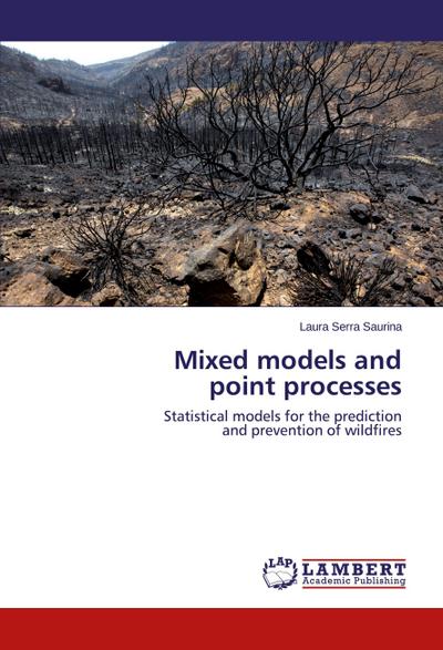 Mixed models and point processes