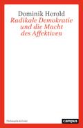 Radikale Demokratie und die Macht des Affektiven