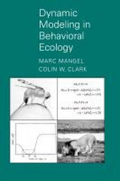 Dynamic Modeling in Behavioral Ecology