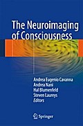 Neuroimaging of Consciousness