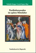 Partikularsynoden im späten Mittelalter (Veröffentlichungen des Max-Planck-Instituts für Geschichte, Band 219)