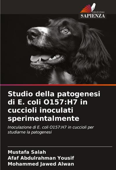 Studio della patogenesi di E. coli O157:H7 in cuccioli inoculati sperimentalmente