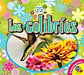 Los colibríes