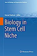 Biology in Stem Cell Niche
