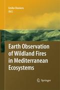 Earth Observation of Wildland Fires in Mediterrane