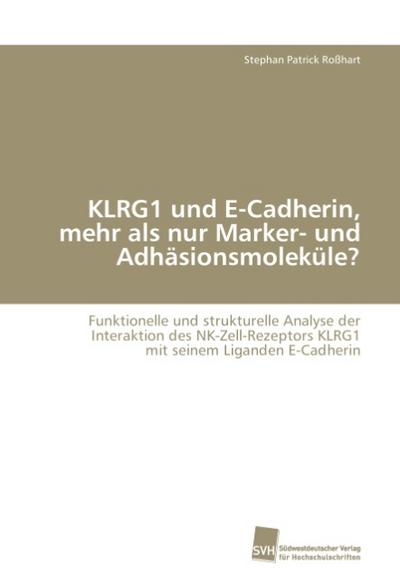 KLRG1 und E-Cadherin, mehr als nur Marker- und Adhäsionsmoleküle?