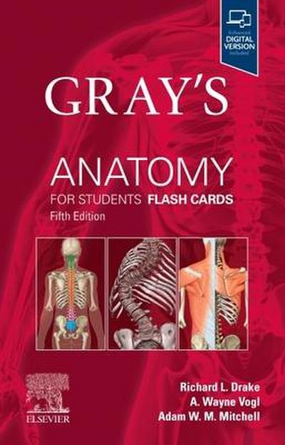 Gray’s Anatomy for Students Flash Cards