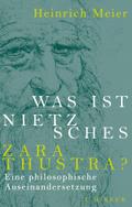 Was ist Nietzsches Zarathustra?: Eine philosophische Auseinandersetzung