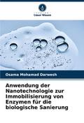 Anwendung der Nanotechnologie zur Immobilisierung 