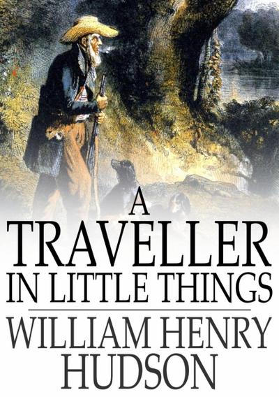 Traveller in Little Things
