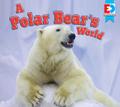 A Polar Bear’s World