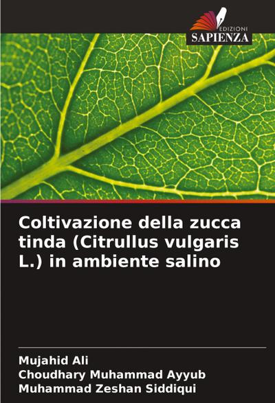 Coltivazione della zucca tinda (Citrullus vulgaris L.) in ambiente salino