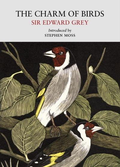 The Charm of Birds