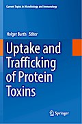 Uptake and Trafficking of Protein Toxins
