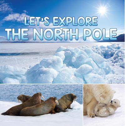 Let’s Explore the North Pole