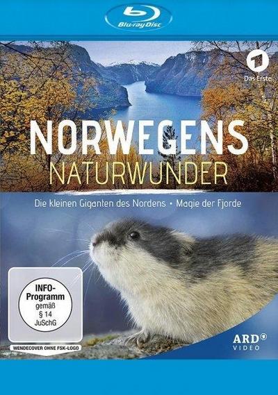 Norwegens Naturwunder: Die kleinen Giganten des Nordens & Magie der Fjorde