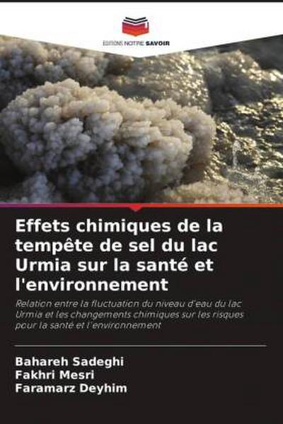 Effets chimiques de la tempête de sel du lac Urmia sur la santé et l’environnement
