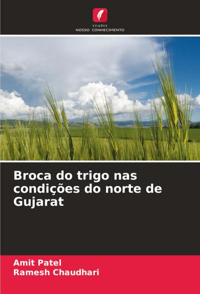 Broca do trigo nas condições do norte de Gujarat