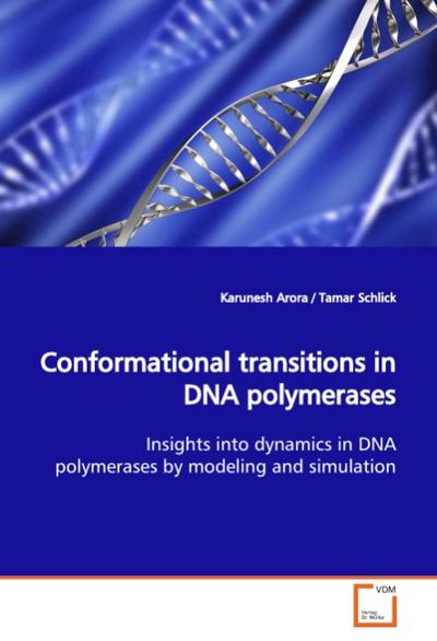 Conformational transitions in DNA polymerases
