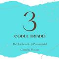 Codul Triadei