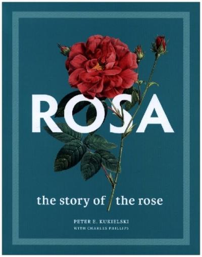 Rosa