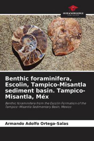 Benthic foraminifera, Escolin, Tampico-Misantla sediment basin. Tampico-Misantla, Méx