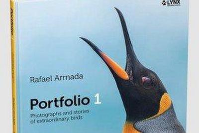 Portfolio 1. Photographs and stories of extraordinary birds