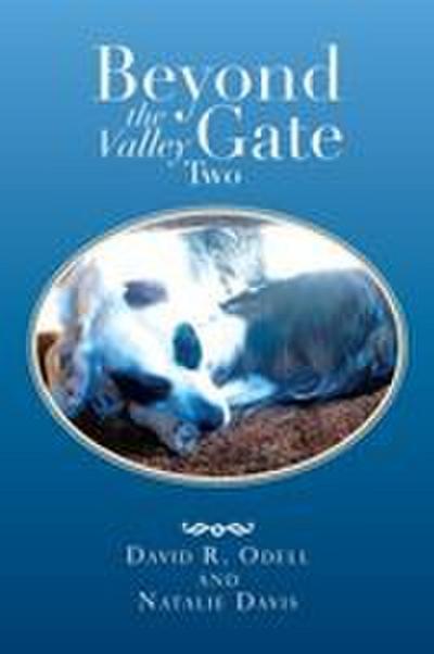 Beyond the Valley Gate Two