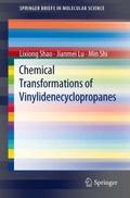 Chemical Transformations of Vinylidenecyclopropane