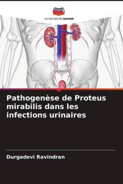 Pathogenèse de Proteus mirabilis dans les infections urinaires